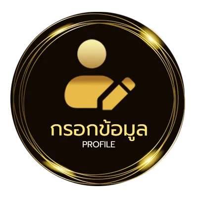 ข้อมูลสมาชิก รวมโปร ฝาก20 รับ100 ทำยอด200 ถอนได้100